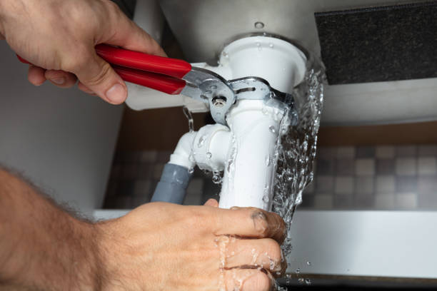 Best Water damage cleanup near me  in Daniels Farm, CT