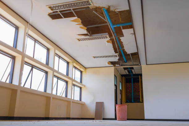 Best Water damage restoration mold remediation  in Daniels Farm, CT