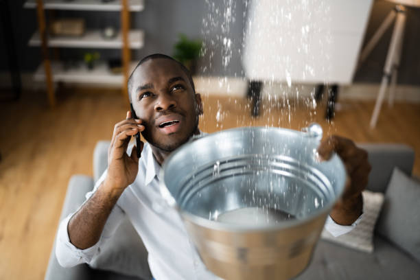 Best Carpet water damage restoration  in Daniels Farm, CT