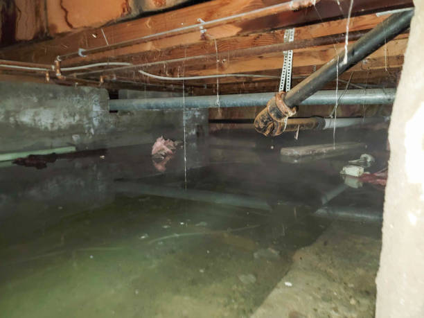 Best Water damage restoration near me  in Daniels Farm, CT