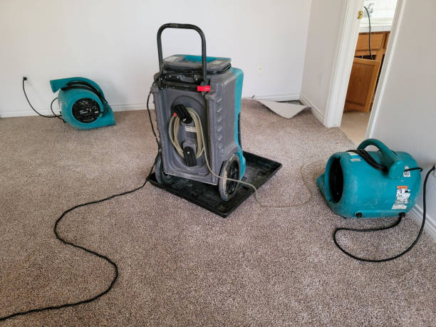 Best Water damage restoration process  in Daniels Farm, CT