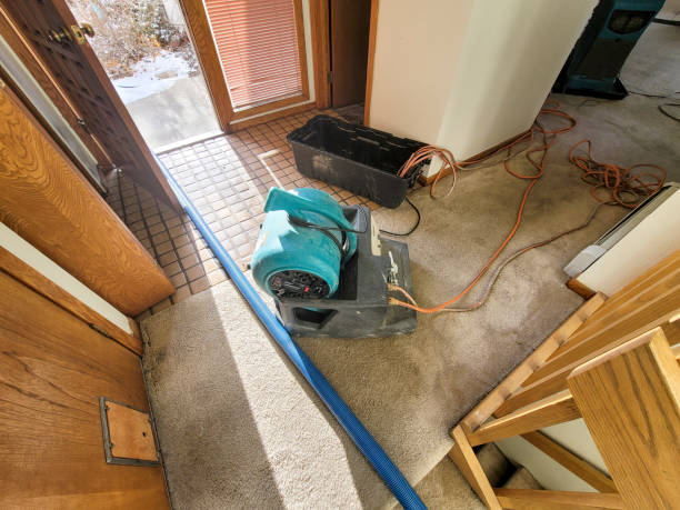 Local water damage restoration in CT