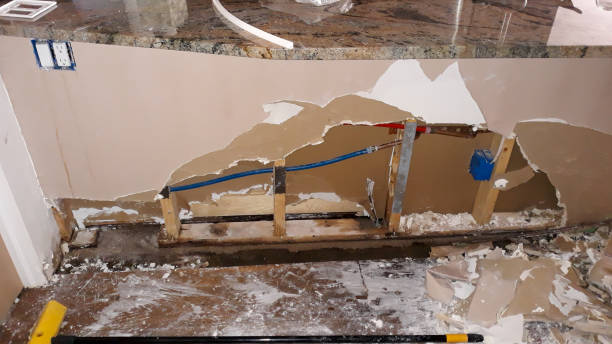 Best 24/7 water damage repair  in Daniels Farm, CT