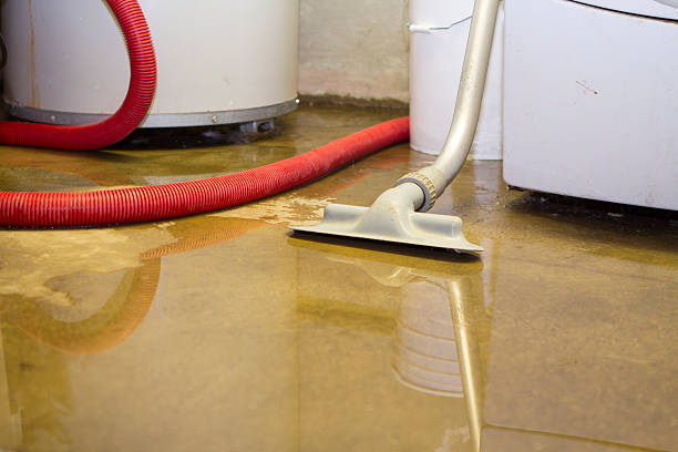 Best Water damage restoration experts  in Daniels Farm, CT