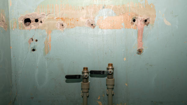 Best Basement water damage restoration  in Daniels Farm, CT