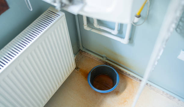 Best Water damage contractors near me  in Daniels Farm, CT