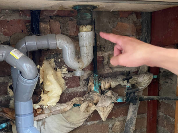 Best Sewage cleanup and water damage restoration  in Daniels Farm, CT